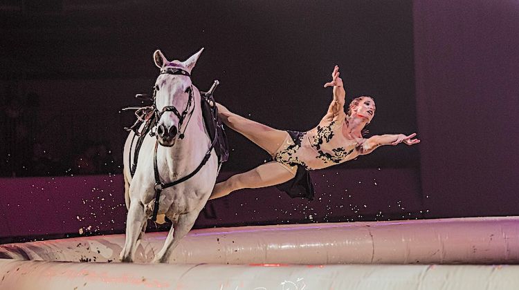 PASSION DU CHEVAL – Le festival Équestria très attendu à Tarbes